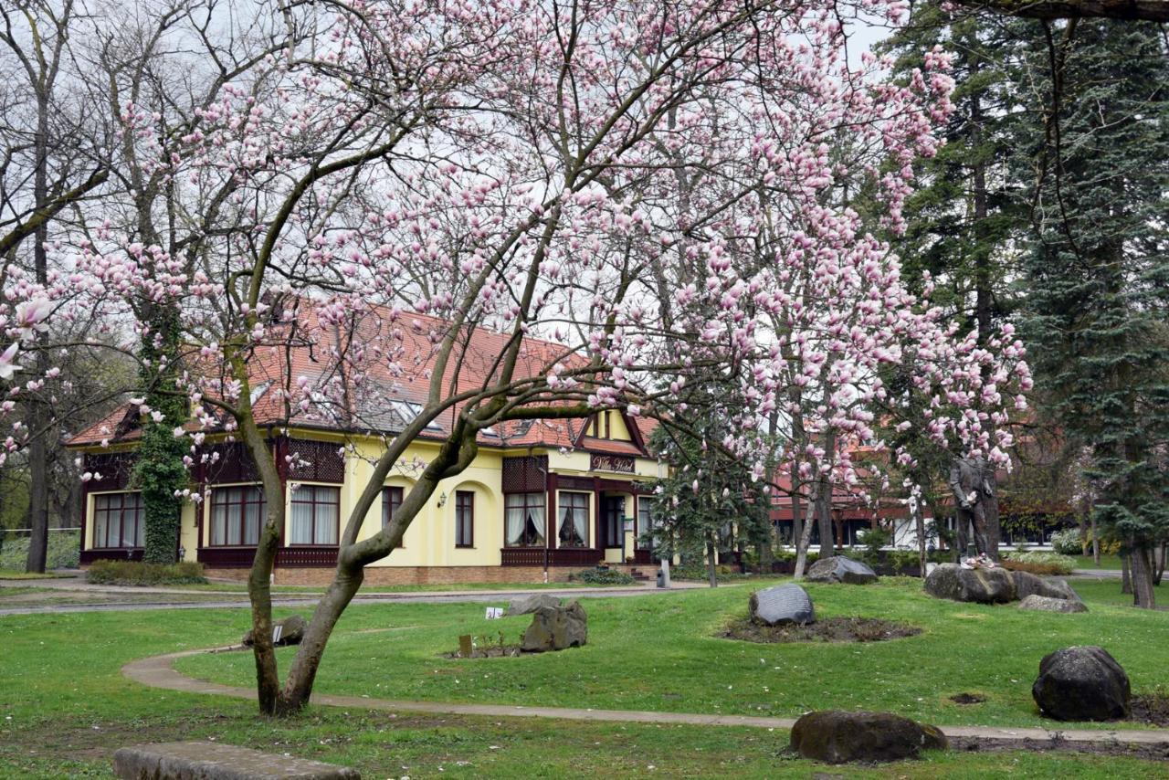 Villa Hotel Debrecen Esterno foto