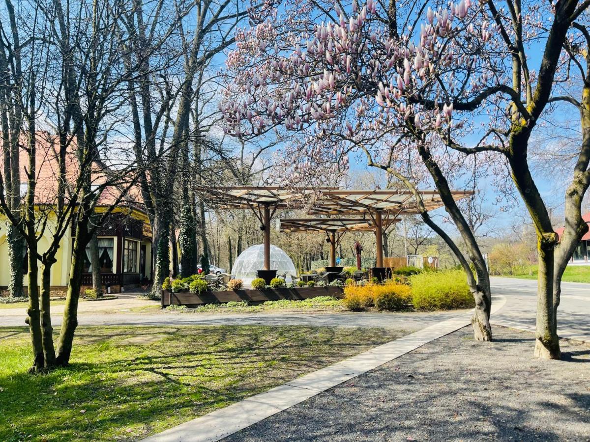 Villa Hotel Debrecen Esterno foto